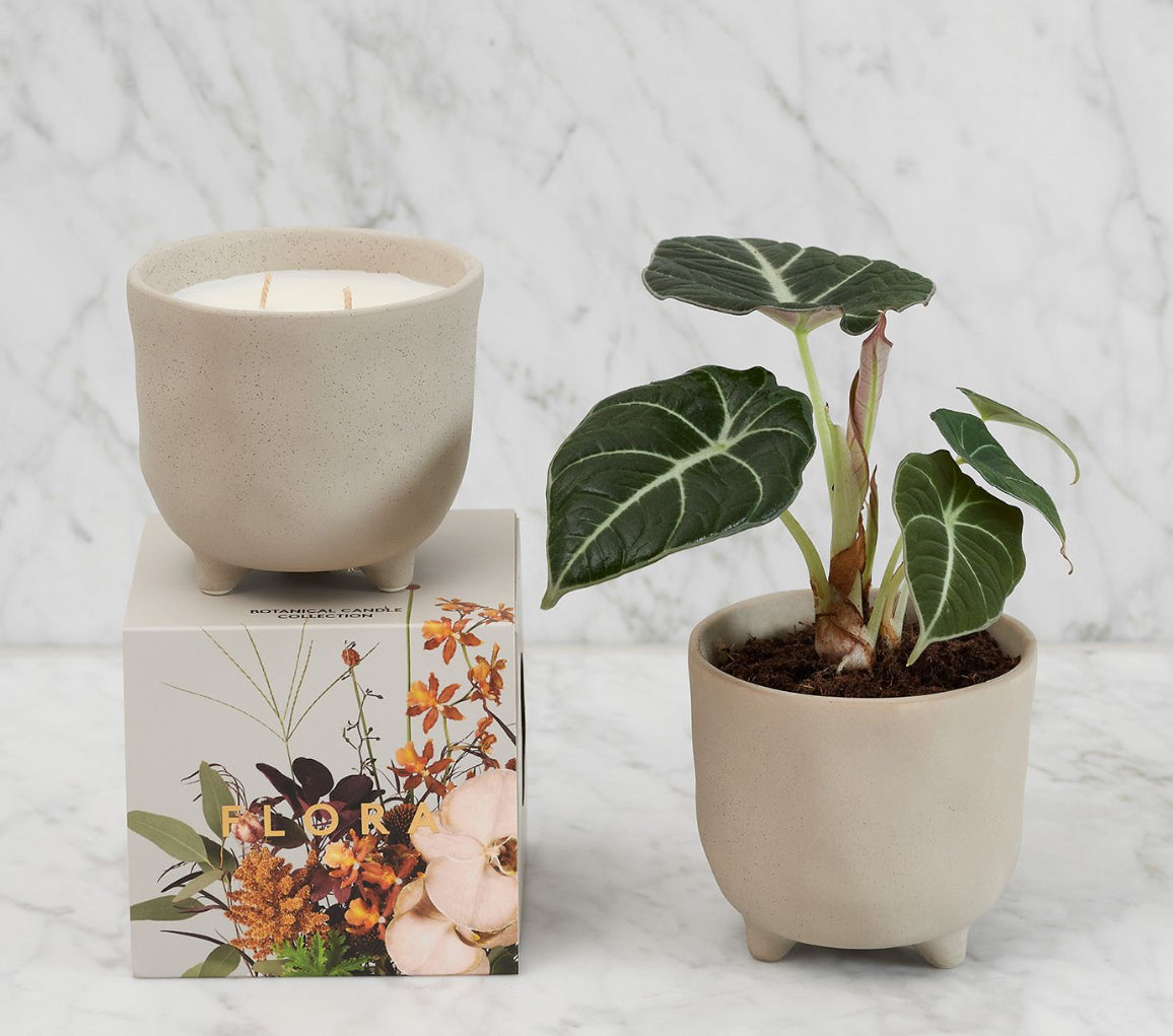 Myrtle & Moss Botanical Candle