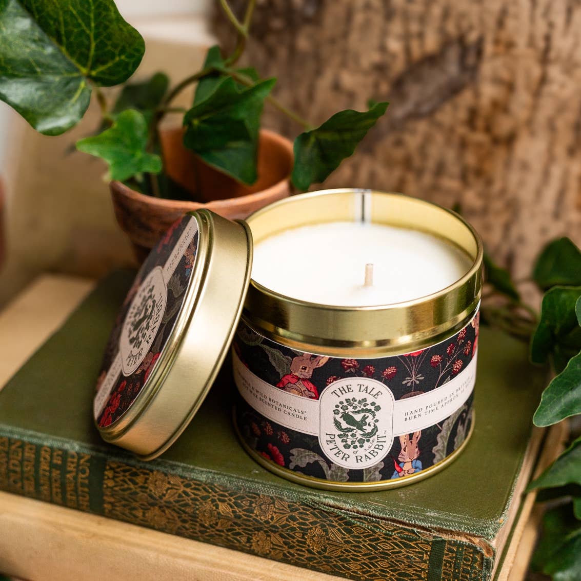 Peter Rabbit "Bramble & Wild Botanicals" Candle - Wilde Ivy