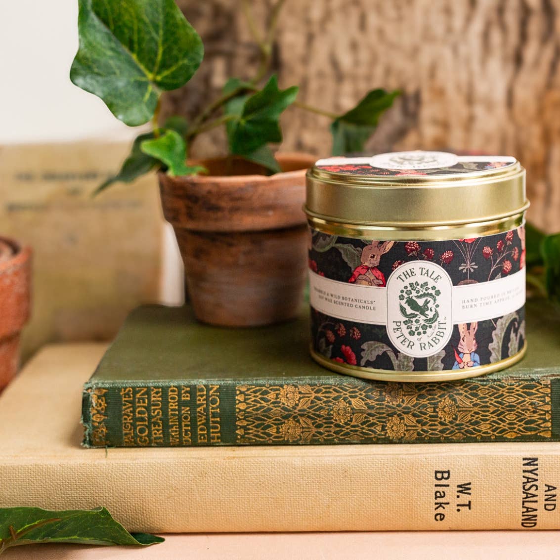 Peter Rabbit "Bramble & Wild Botanicals" Candle - Wilde Ivy