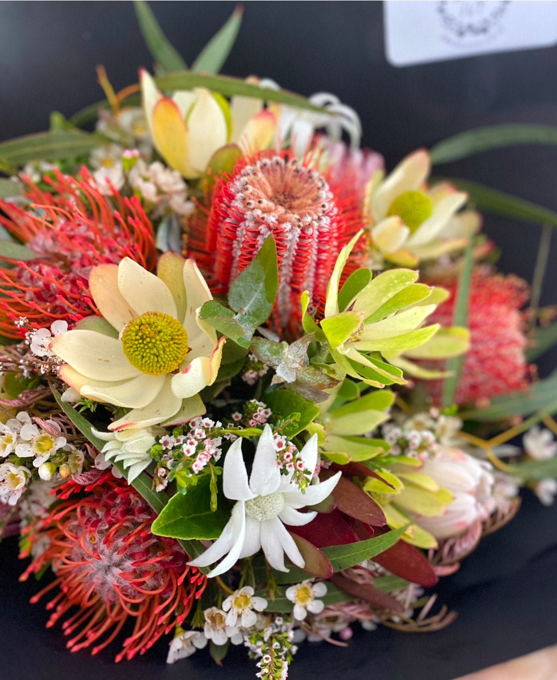 Seasonal Natives - Wilde Ivy