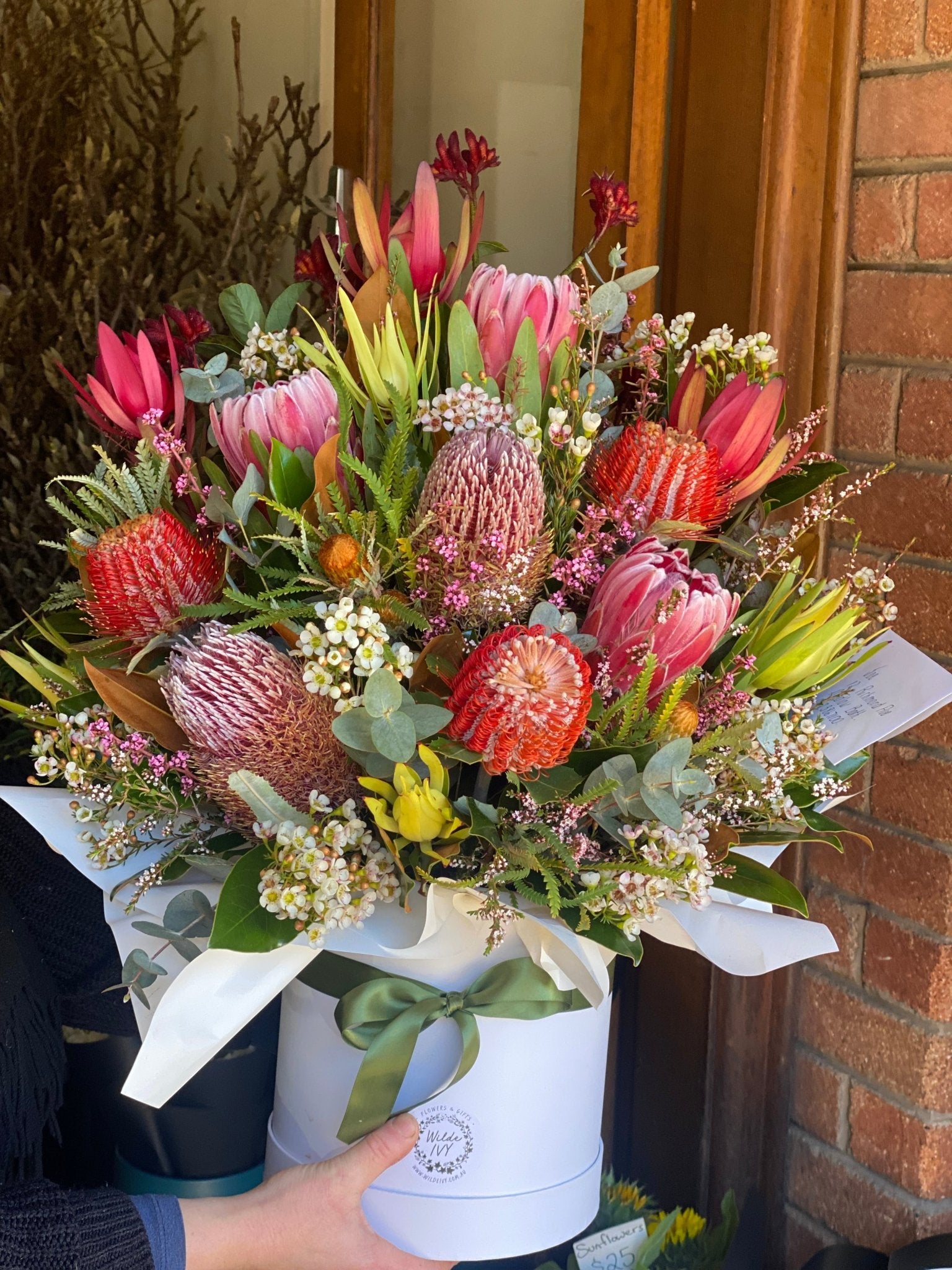 Seasonal Natives - Wilde Ivy