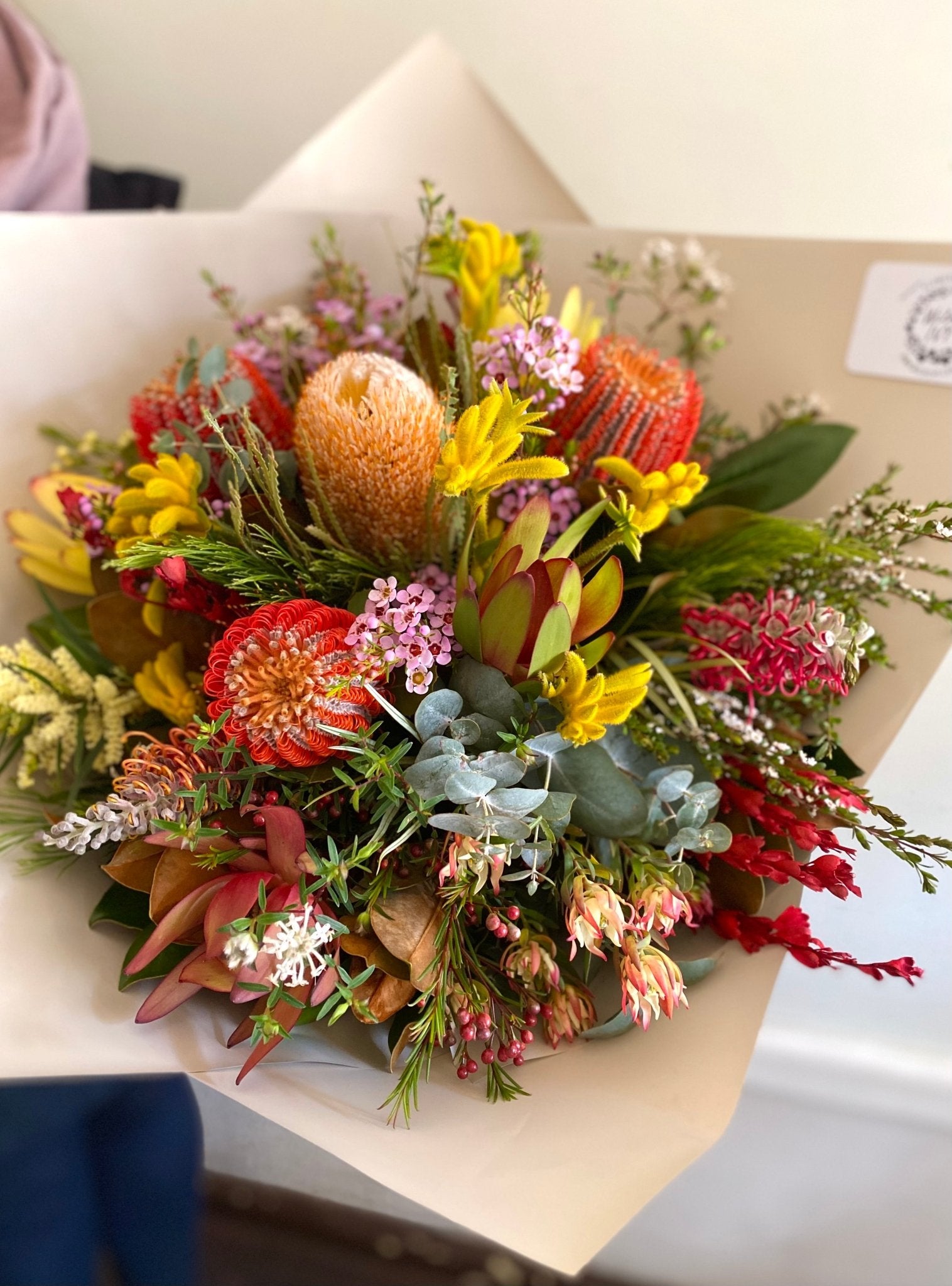 Seasonal Natives - Wilde Ivy