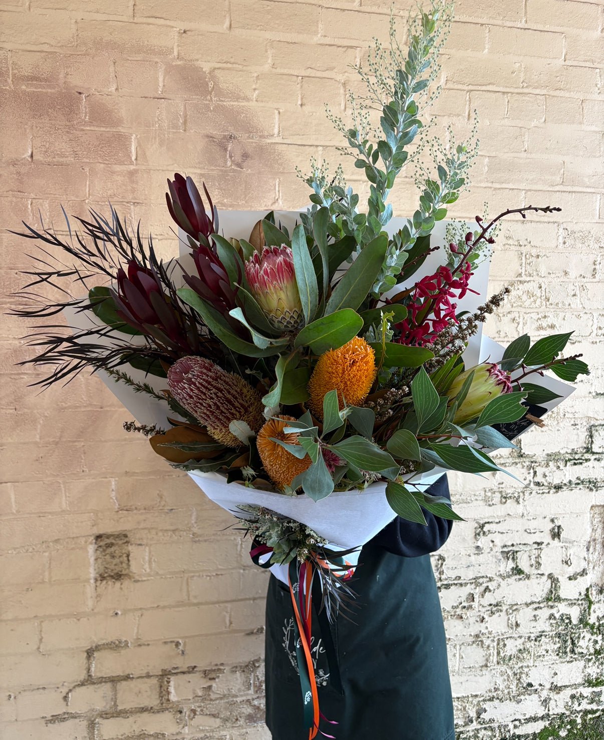 Seasonal Natives - Wilde Ivy