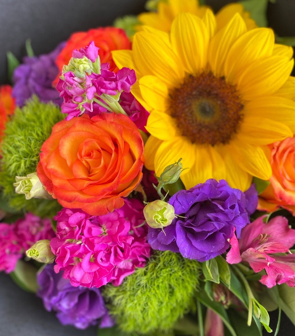 Bright Blooms - Wilde Ivy