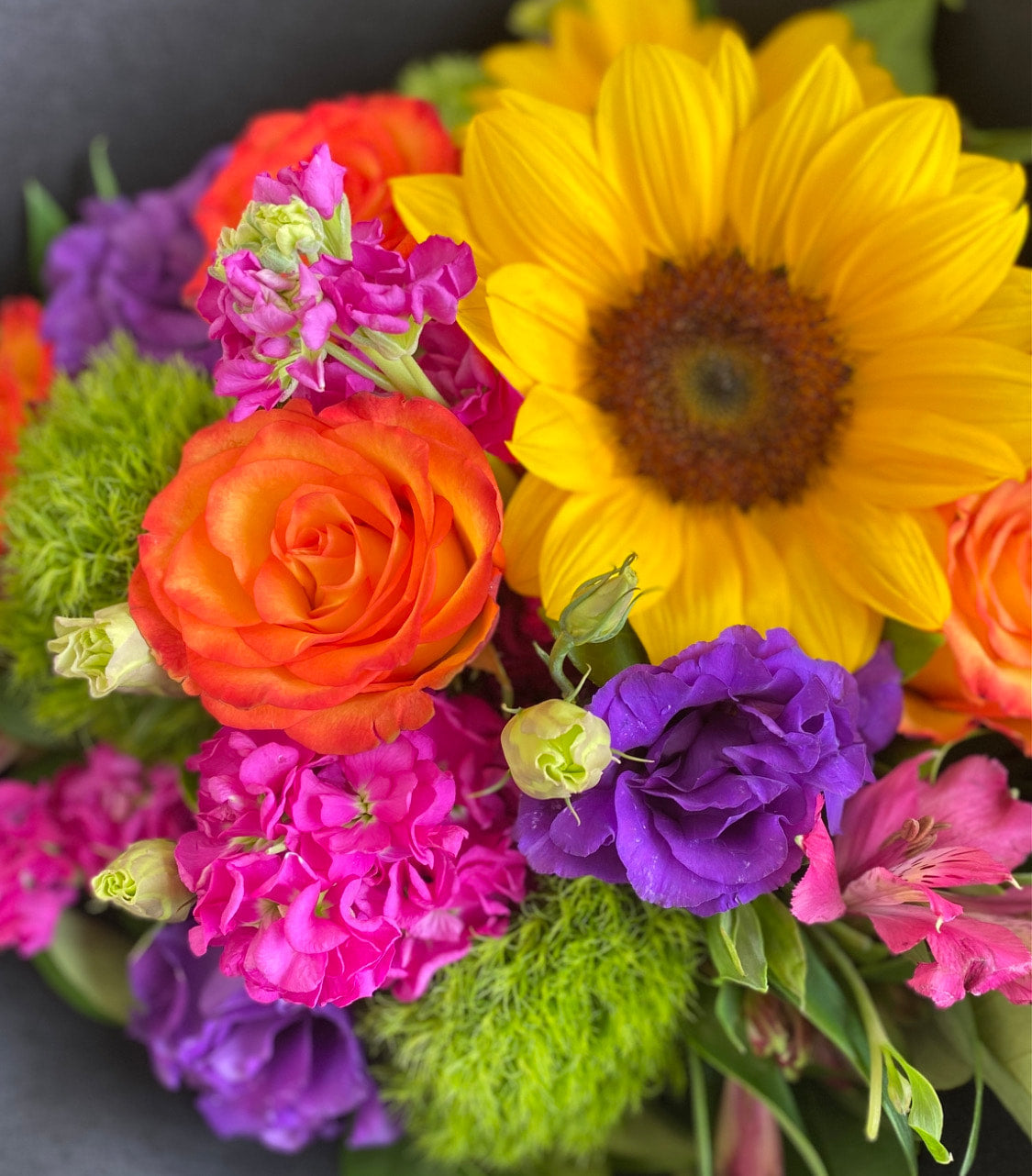 Bright Blooms