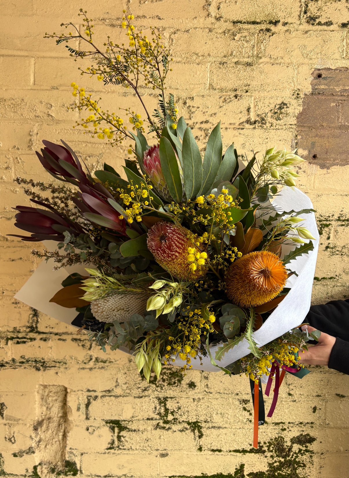 Seasonal Natives - Wilde Ivy