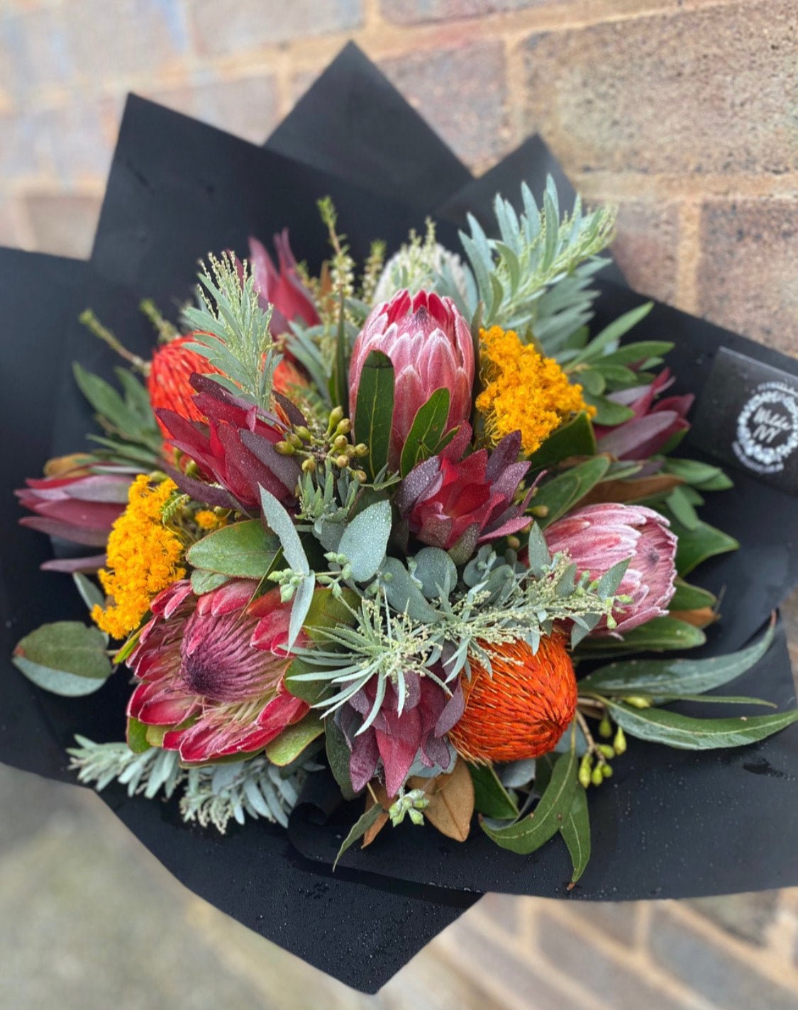 Seasonal Natives - Wilde Ivy