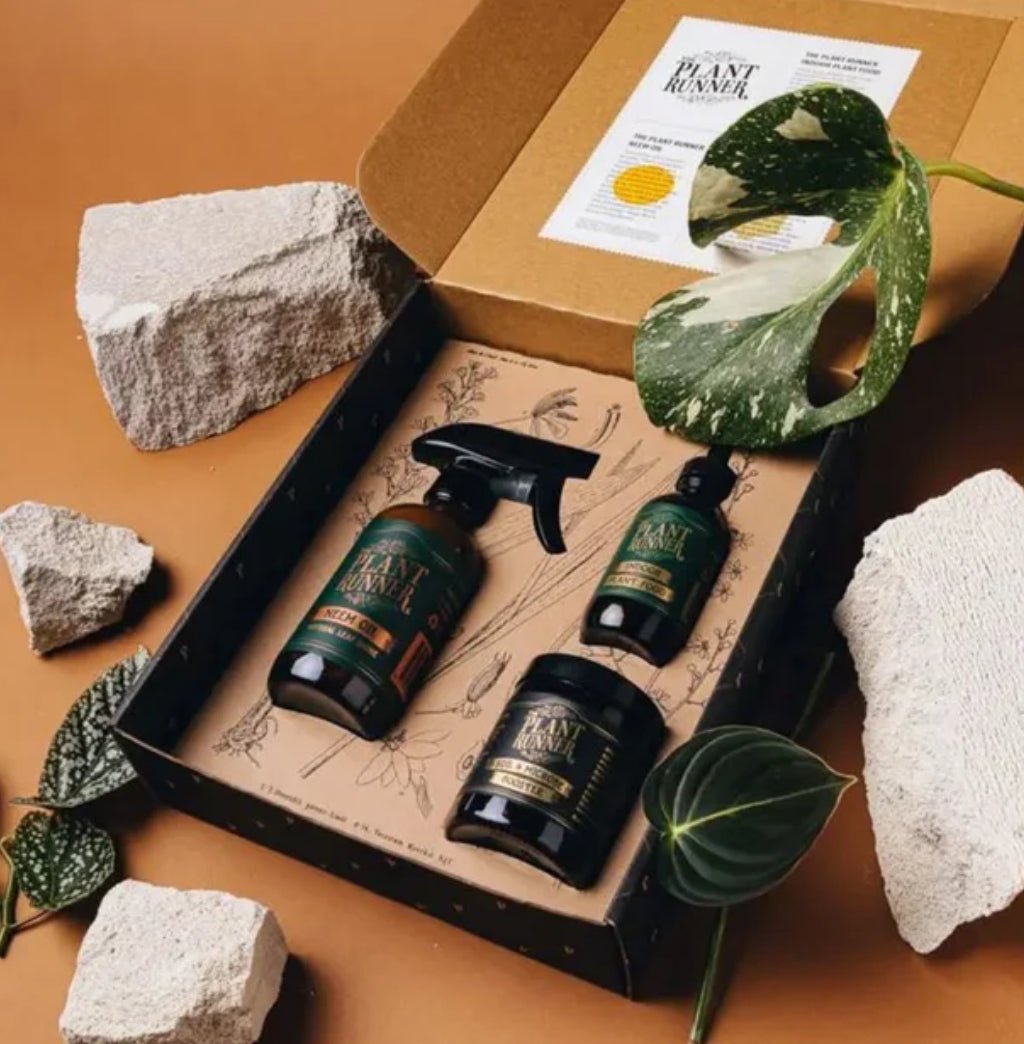 The Plant Runner - Wilde Ivy