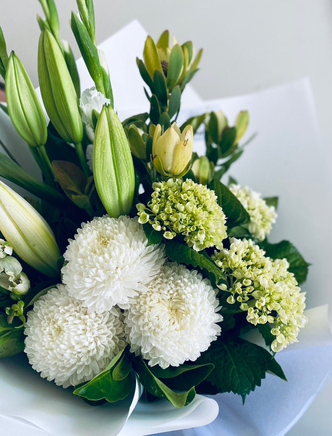 Whites and Greens - Wilde Ivy